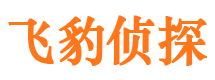 吴川出轨取证